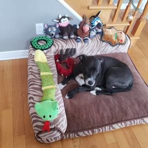 Meet your Posher, Paolina